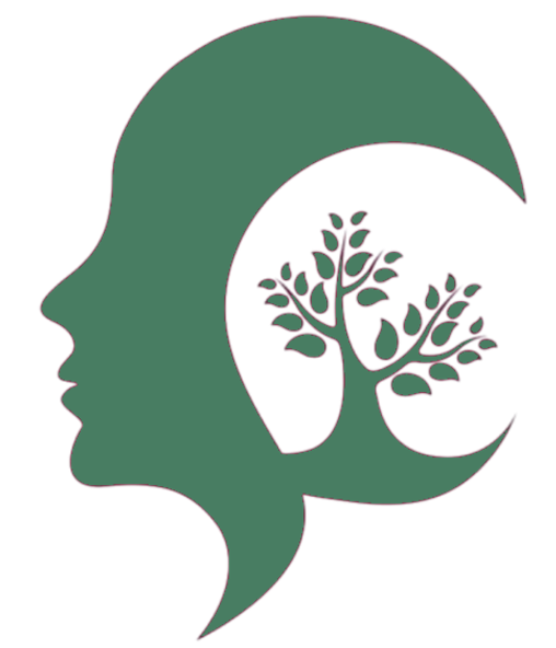 VIES DESENVOLVIMENTO HUMANO LTDA